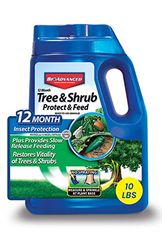 Tree and Shrub Protect and Feed for Insects