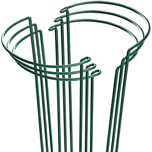 HiGift 6 Pack Plant Support Stakes