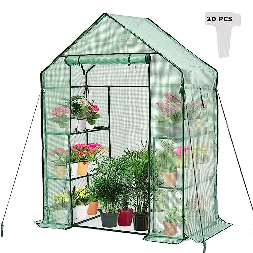 Purlyu Walk-in Greenhouse for Outdoors