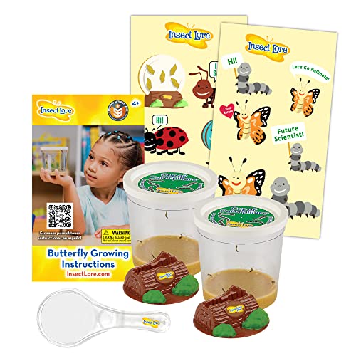 Caterpillar Butterfly Kit Refill – Painted Lady Butterflies