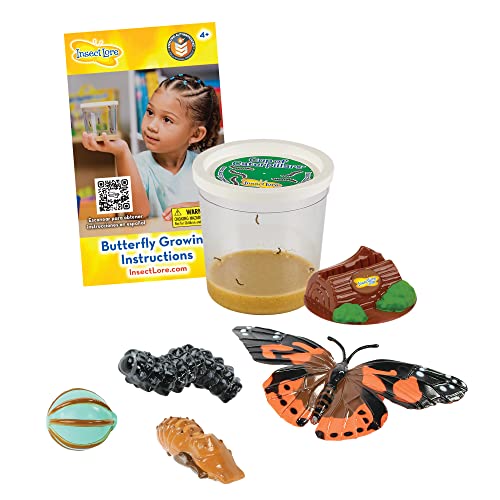 Insect Lore Live Caterpillars Butterfly Kit Refill
