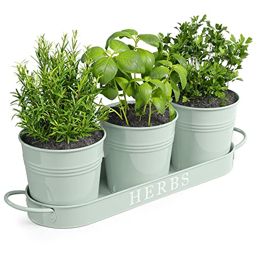 Barnyard Designs Farmhouse Herb Garden Planter Set