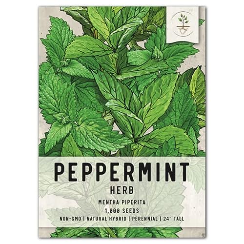 Peppermint Herb Seeds for Planting - Non-GMO & Untreated - 1 Pack