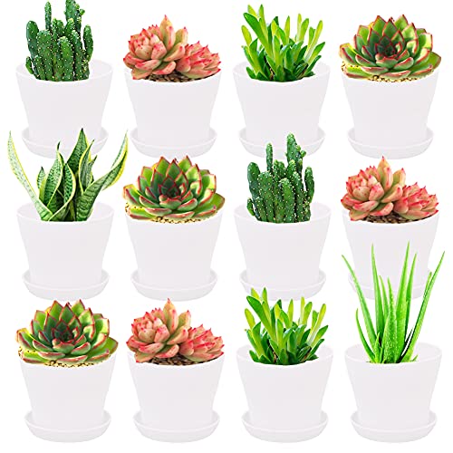 12 Pack 4 Inch White Plastic Planters Pots