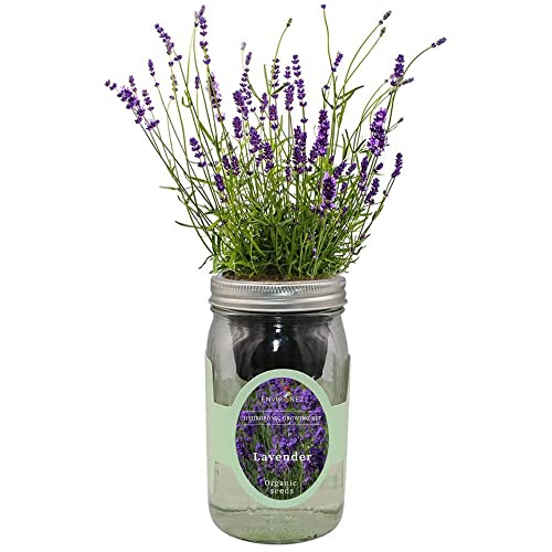 Self-Watering Mason Jar Herb Garden Starter Kit