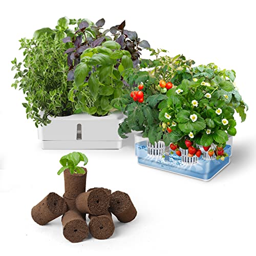 GrowLED Hydroponic Grow Box Kit - Self Watering Planter Pots for Indoor Home Garden