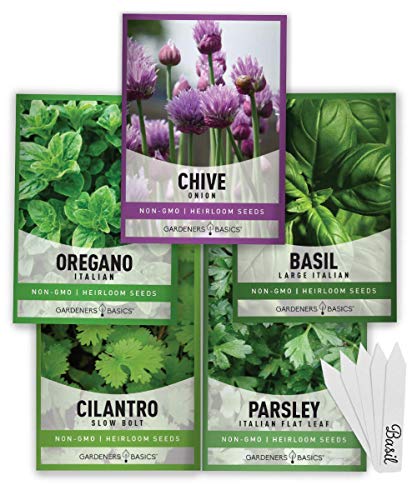 Culinary Herb Seeds Pack - Indoor/Outdoor Planting Kit