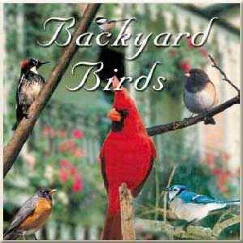 Backyard Bird Songs CD