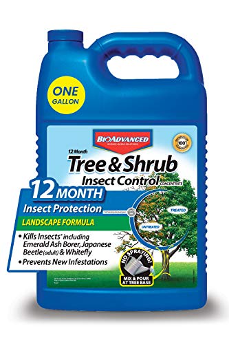 BioAdvanced Tree and Shrub Insect Control