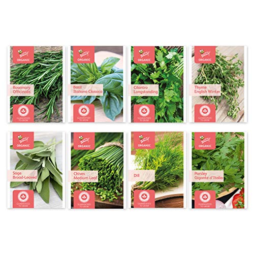 BUZZY Organic Herb Seed Packs