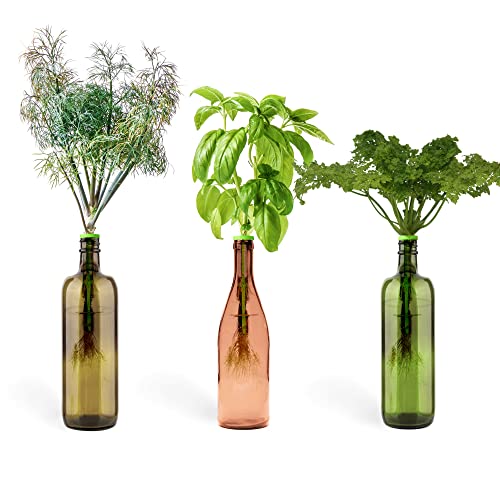 Window Garden Kit - Grow Fresh Herbs Indoors