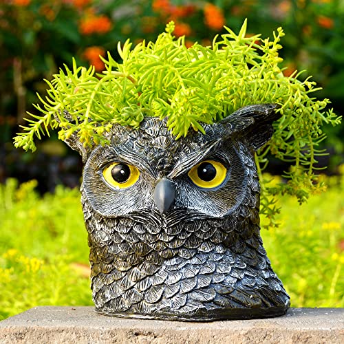 BXLE BY Owl Planter