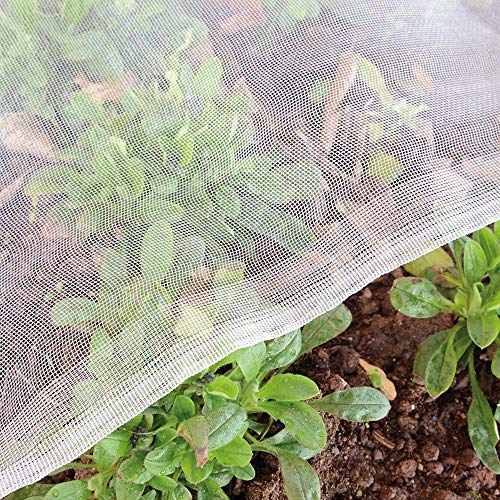Protective Netting for a Thriving Garden