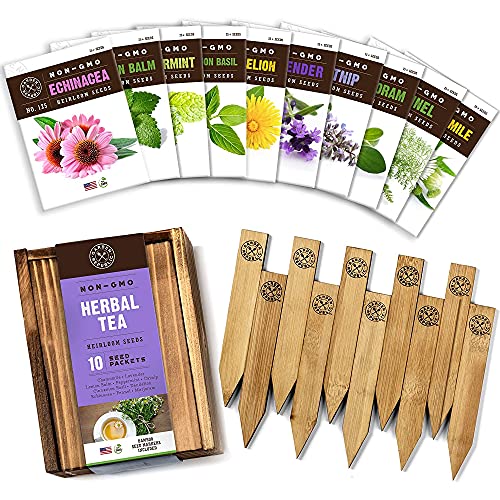 Herb Garden Seeds for Planting - Medicinal Herbs Seed Packets Non GMO