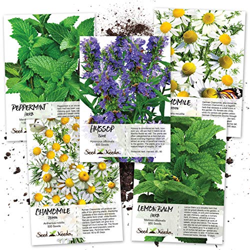 Medicinal Herb Seed Packet Collection