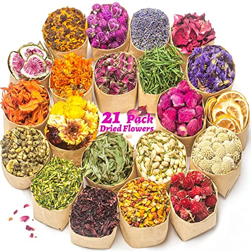 LAVEVE Dried Flowers Kit