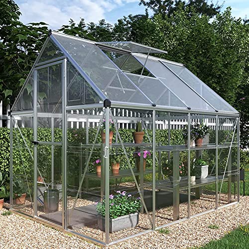 PAPAJET 6x8 FT Hybrid Polycarbonate Greenhouse