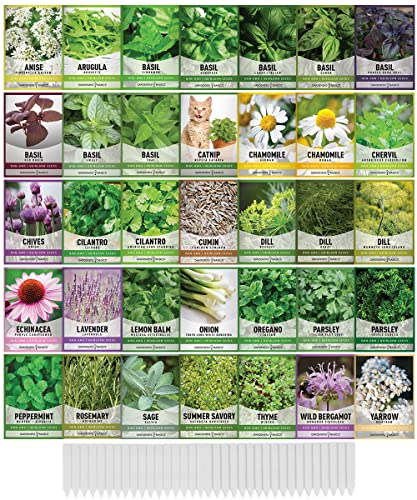 35 Herb Seeds Variety Pack for Indoor and Outdoor Planting