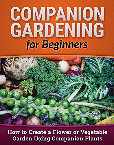 Companion Gardening for Beginners