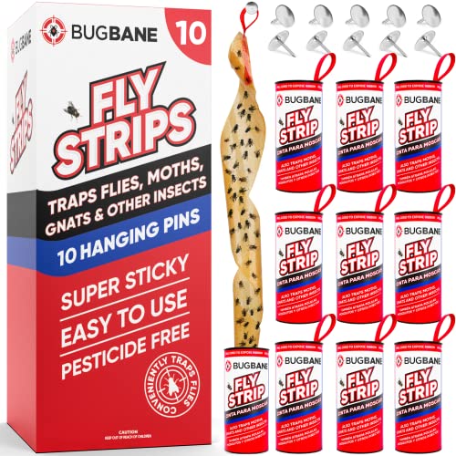 10 Fly Strips Indoor Sticky Hanging with Pins