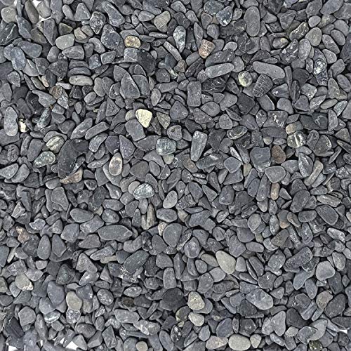 Natural Decorative Gray Bean Pebbles 1/5" - 5lb Bag