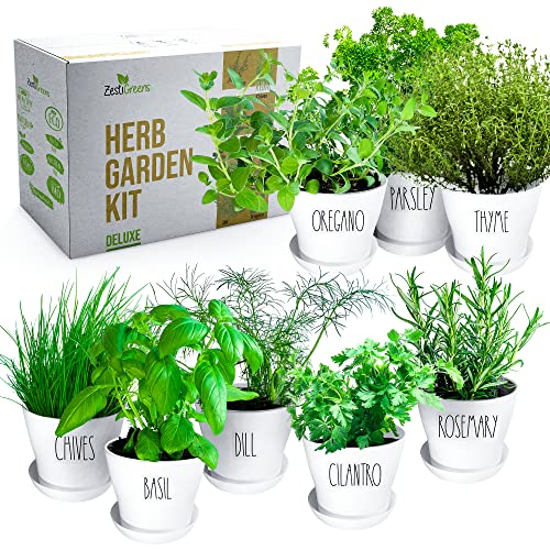 Deluxe Herb Garden Kit - Complete Indoor & Outdoor Gardening Set