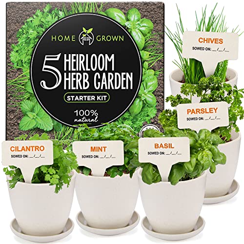 Herb Garden Starter Kit