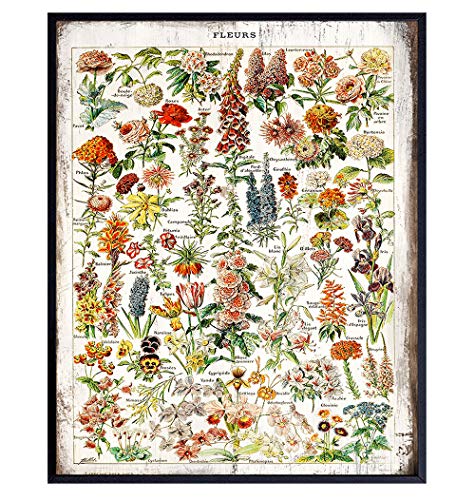 Rustic Botanical Fleurs Flowers Chart - Wall Art