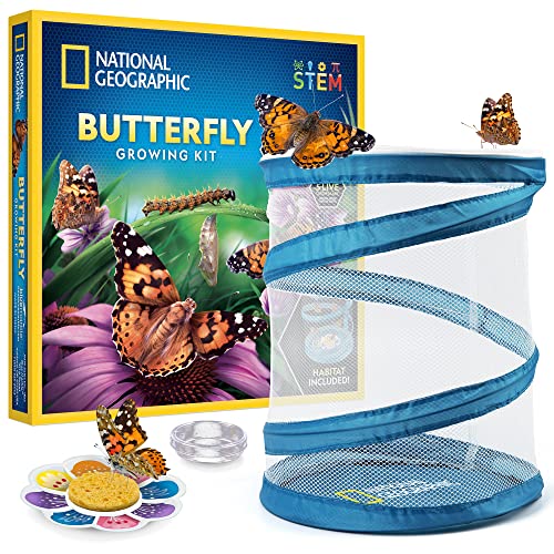 Butterfly Growing Kit with Habitat and Caterpillars