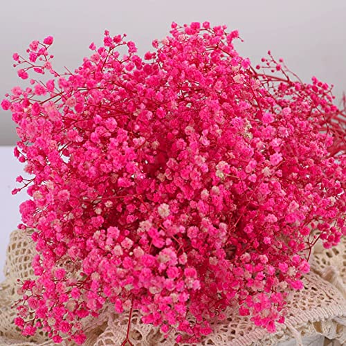 Eternal Beauty: Dried Baby's Breath Flowers Bouquet