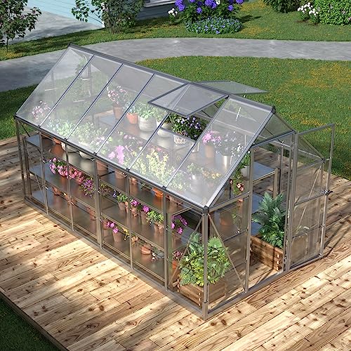 PAPABABE 6x12 FT Hybrid Greenhouse