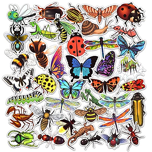 Bug Stickers for Kids Insect Stickers
