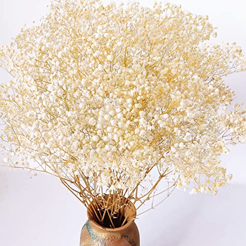 Dried Baby's Breath Flowers Bouquet
