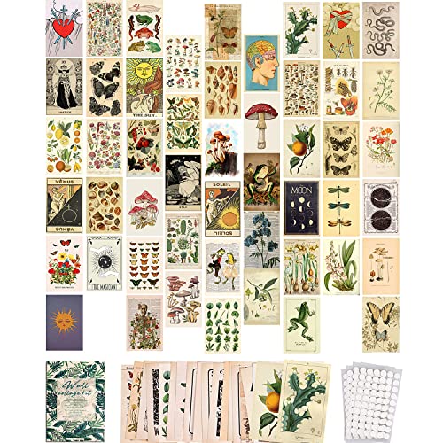 Vintage Botanical Illustration Tarot Aesthetic Wall Collage Kit