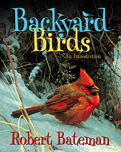 Backyard Birds: An Introduction