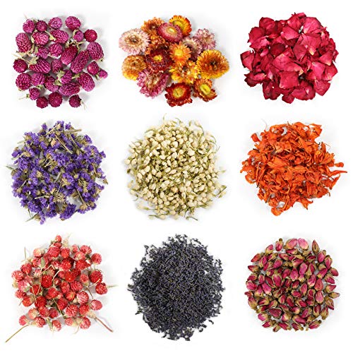 9 Bags Natural Dried Flowers Kit