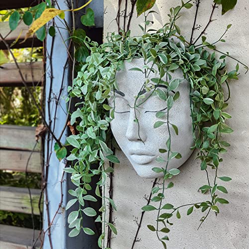 Charming and Stylish Face Planter Pot Head Planter