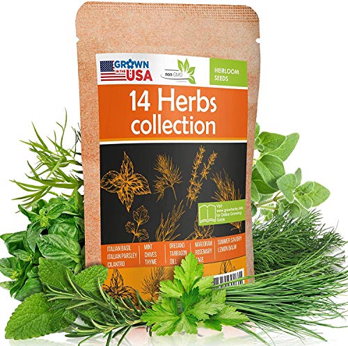 Herb Seeds Pack - Indoor/Outdoor Garden