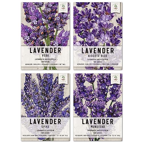Seed Needs Lavender Herb Seed Collection