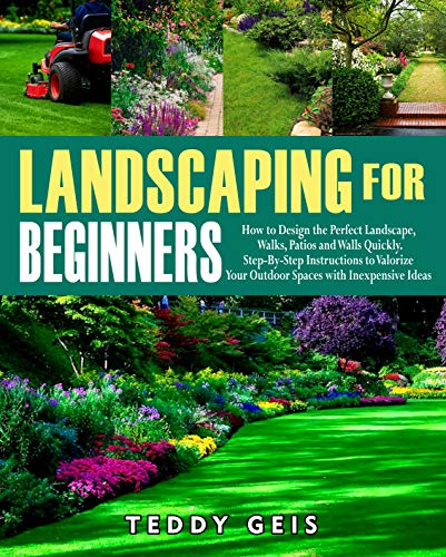 Landscaping For Beginners: Design Your Perfect Outdoor Space