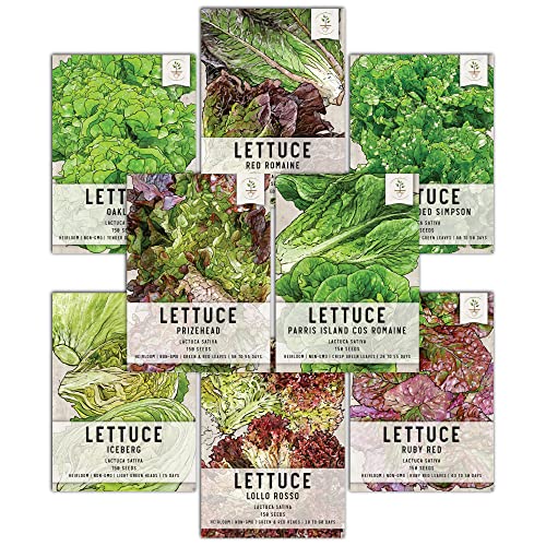 Seed Needs Lettuce Seeds Variety Pack