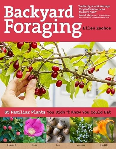 Backyard Foraging: Edible Plants You Didn't Know About