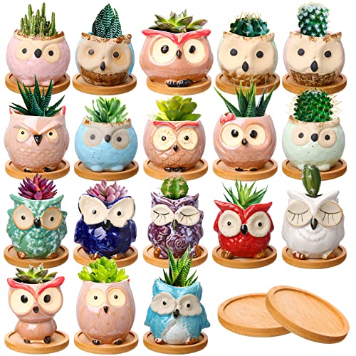 Owl Succulent Plant Pots