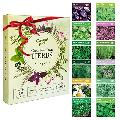Herb Garden Kit - 12 Herb Seeds