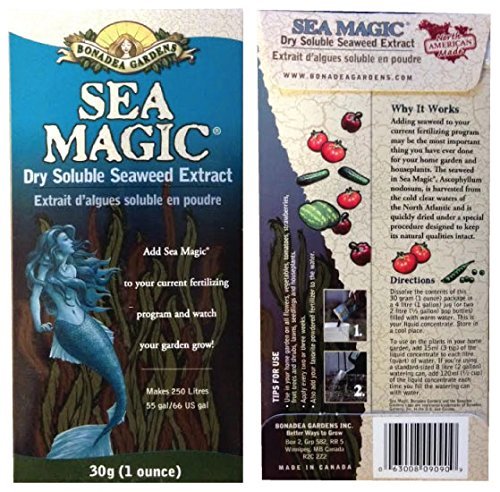 Sea Magic Seaweed Extract Fertilizer