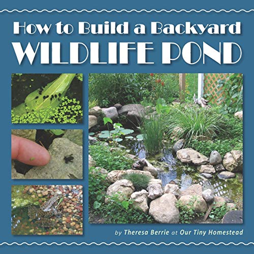 Building a Backyard Wildlife Pond