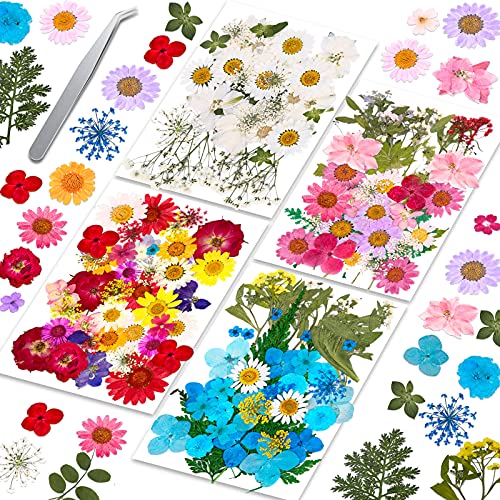 Evatage 153Pcs Pressed Flowers for Resin
