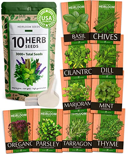 10 Culinary Herb Seeds Pack