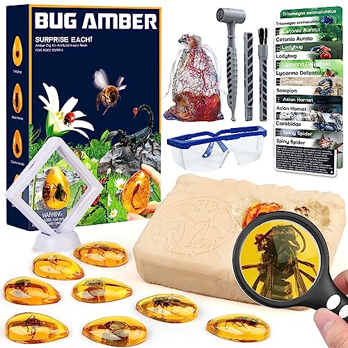 Amber Dig Kit - Insects in Resin