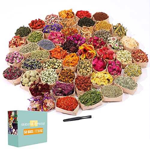 SACATR Dried Flowers Kit for DIY Crafts